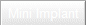 Mini Implant